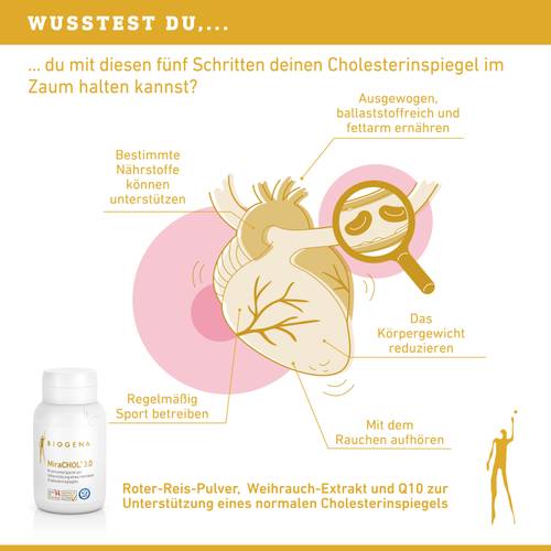 Infografik zum Cholesterinmanagement mit folgenden Schritten: ausgewogene Ernährung, Nährstoffzufuhr, regelmäßige Bewegung, Raucherentwöhnung und eine Flasche Nahrungsergänzungsmittel.