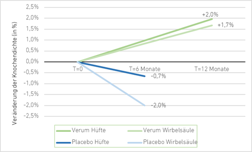 Liniendiagramm, das die Veränderungen der Knochendichte über 12 Monate zeigt. Die Verum-Gruppen nehmen zu, während die Placebo-Gruppen abnehmen. Die Linien sind in Deutsch beschriftet.