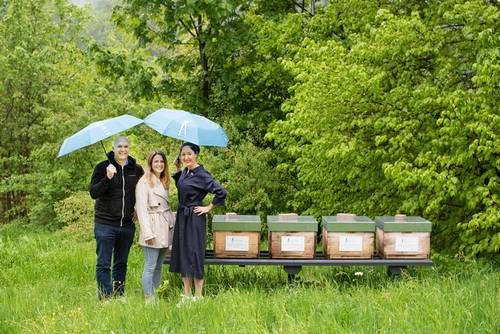 Drei Personen stehen auf einer Wiese mit Bienenstöcken, zwei davon halten Regenschirme, umgeben von üppig grünen Bäumen.