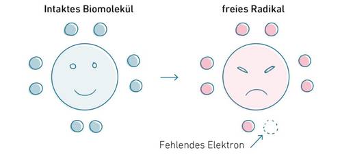 Diagramm, das ein glückliches intaktes Biomolekül und ein wütendes freies Radikal mit einem fehlenden Elektron zeigt und den Elektronenverlust veranschaulicht.
