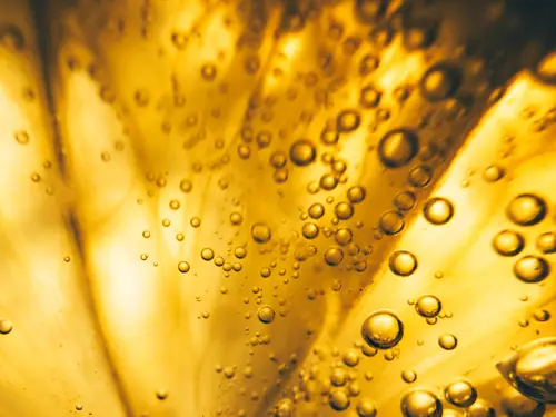 Bubbles float in a golden liquid through which light shines, creating a warm, textured background.