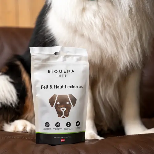 A white and brown dog is sitting on a sofa behind a packet of BIOGENA PETS dog treats labelled ‘Fell & Haut Leckerlis’.