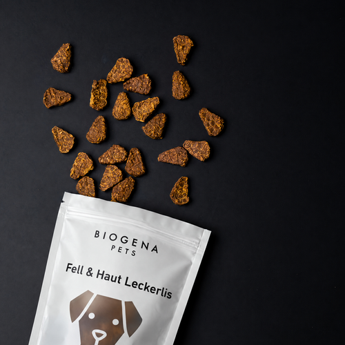 A bag of BIOGENA PETS dog treats, showing several brown treats scattered across a dark background.