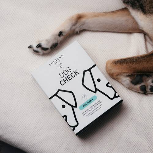 Hundepfoten neben einem „BIOGENA PETS Dog Check" DNA Health+ Testkits auf einer beigen Stoffoberfläche.