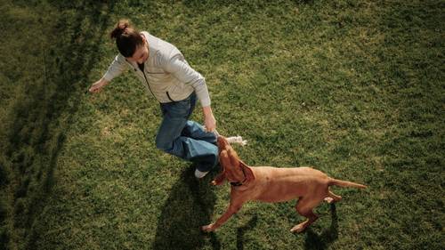 Eine Frau spielt auf einer Wiese mit einem braunen Hund; beide sind in einem fröhlichen Moment unter der Sonne vertieft.