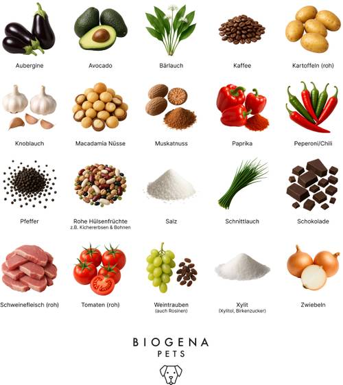 Raster mit verschiedenen Lebensmitteln, darunter Gemüse, Nüsse, Gewürze und Schokolade, jeweils mit deutscher Beschriftung. „BIOGENA Pets”-Logo unten.