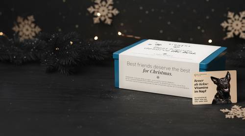 Weiße Geschenkbox mit blauen Rändern und der Aufschrift „Beste Freunde verdienen das Beste zu Weihnachten“ neben einer kleinen Produktkarte für Hunde auf einem dunklen Tisch mit Schneeflockendekorationen.