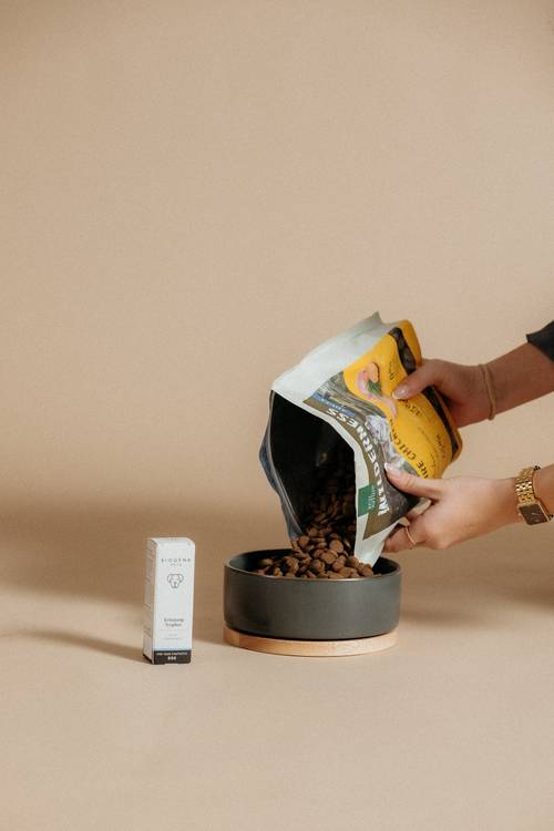 Hände schüttet Hundefutter aus einem Beutel in eine graue Schüssel, daneben steht eine kleine Schachtel, vor einem beigen Hintergrund.