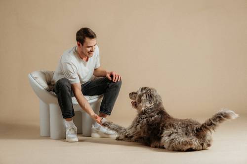 Ein Mann sitzt auf einem Stuhl und gibt einem großen, flauschigen Hund in einem beigen Raum die Hand.