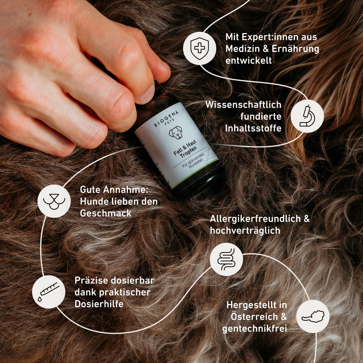 BIOGENA PETS Fell & Haut Tropfen Tropfflasche, Hand, Hundefell, Icons, Text