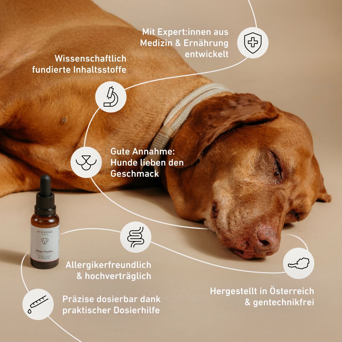 Biogena Pets Relax Tropfen Pipettenflasche, brauner Hund liegend, Halsband, Icons, Text