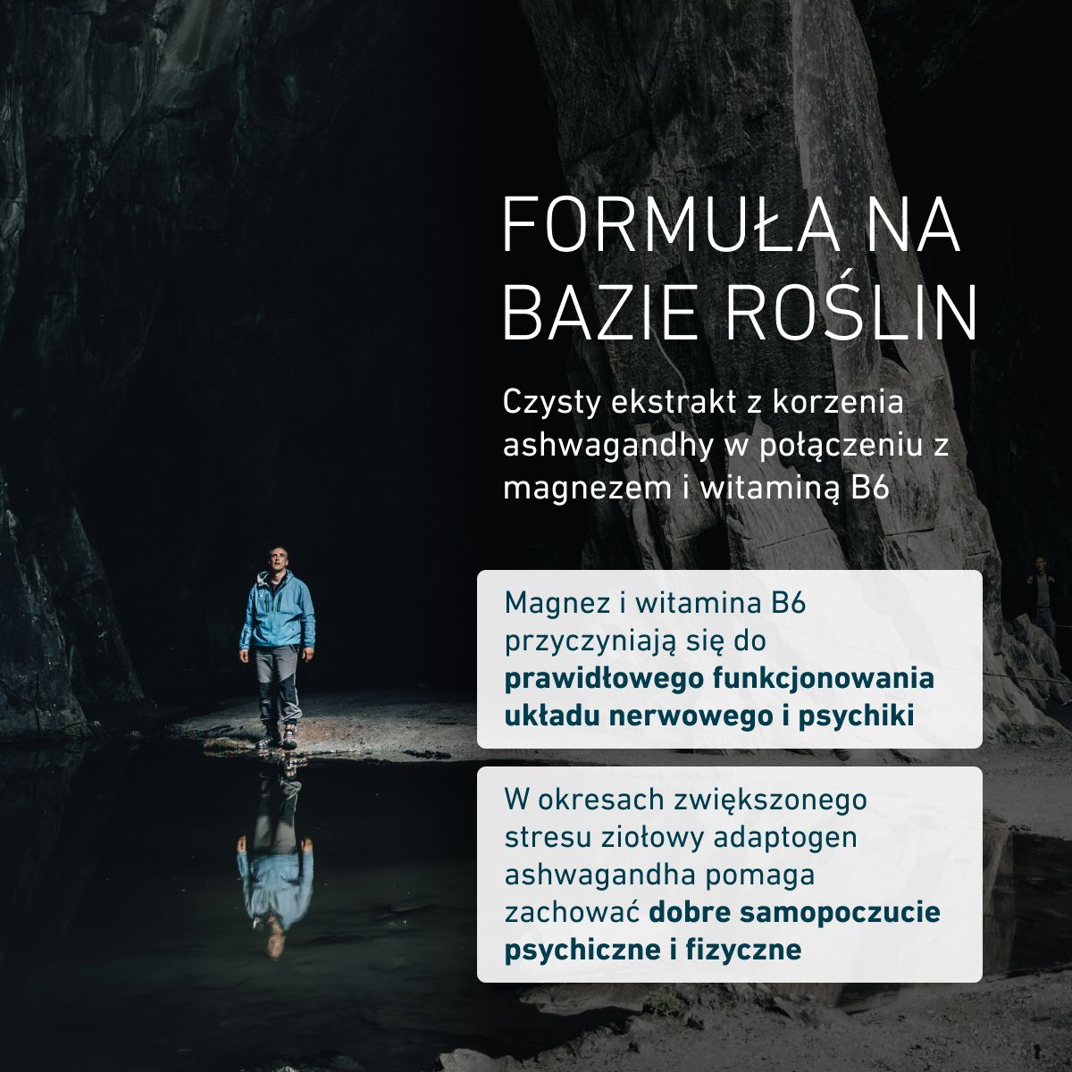 Ashwagandha Formuła