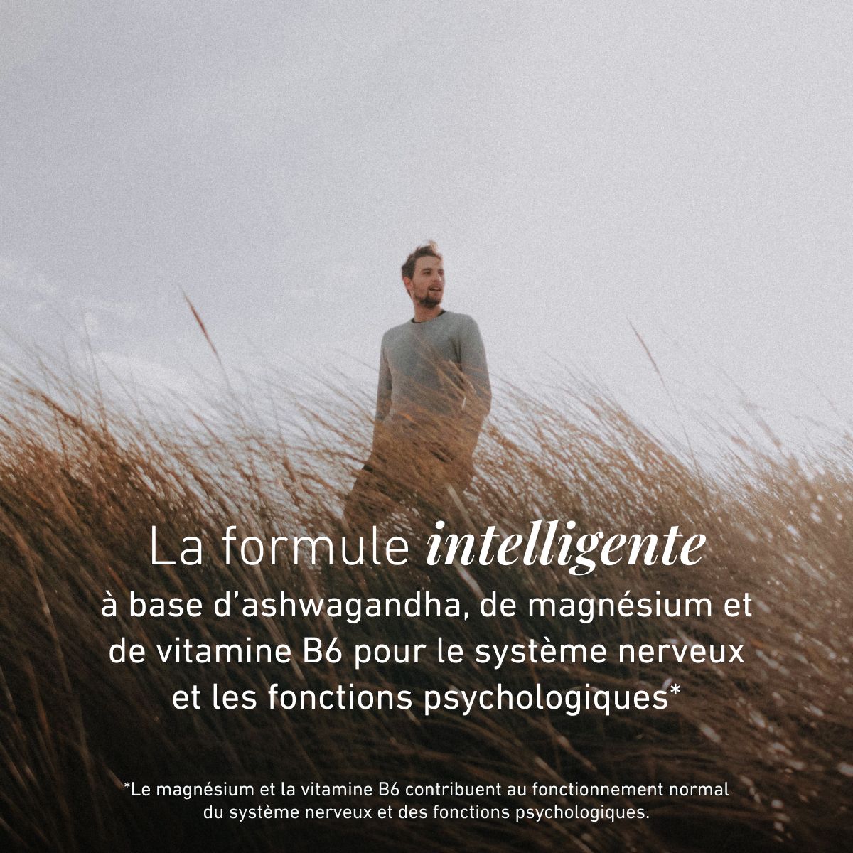 Formule Ashwaganda