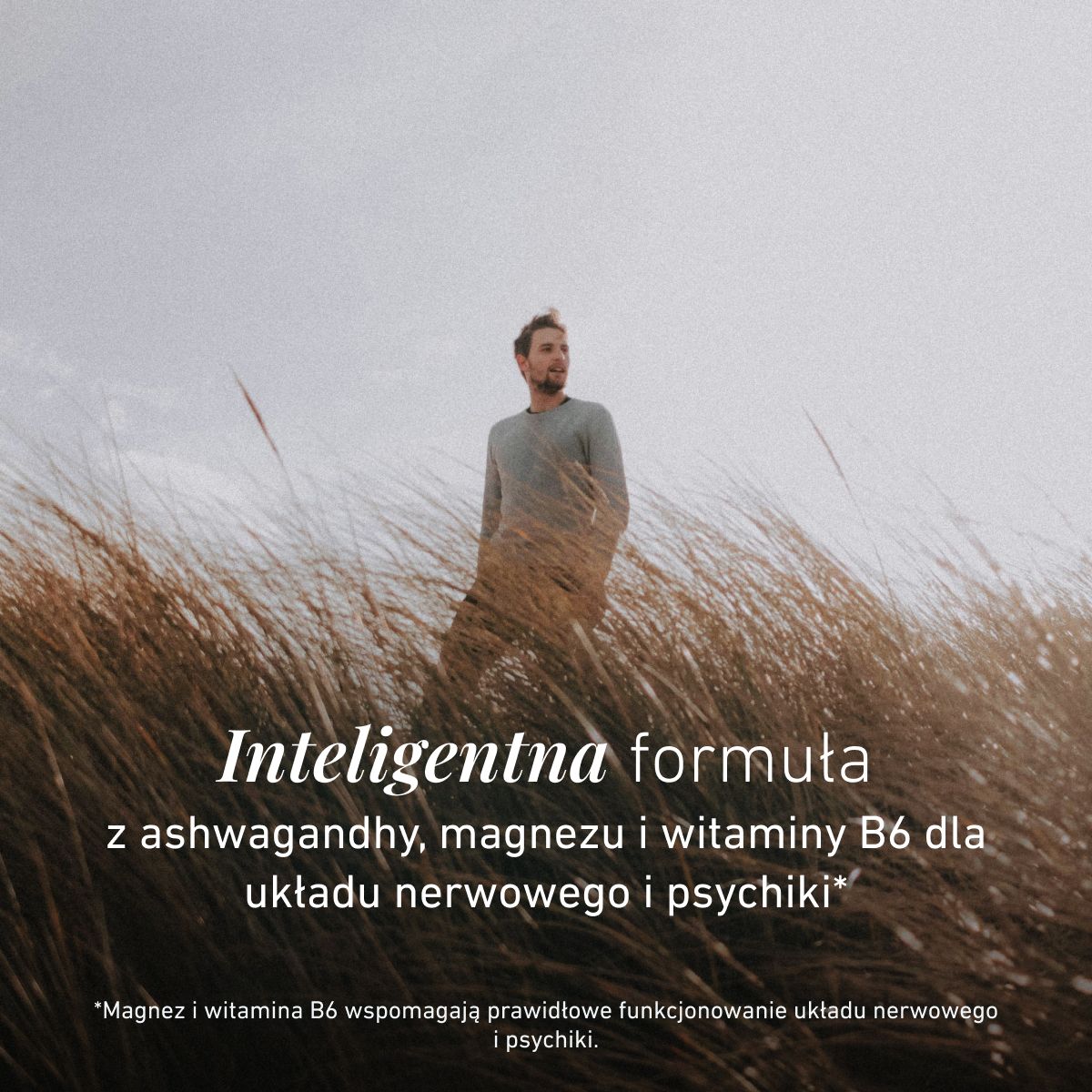 Ashwagandha Formuła