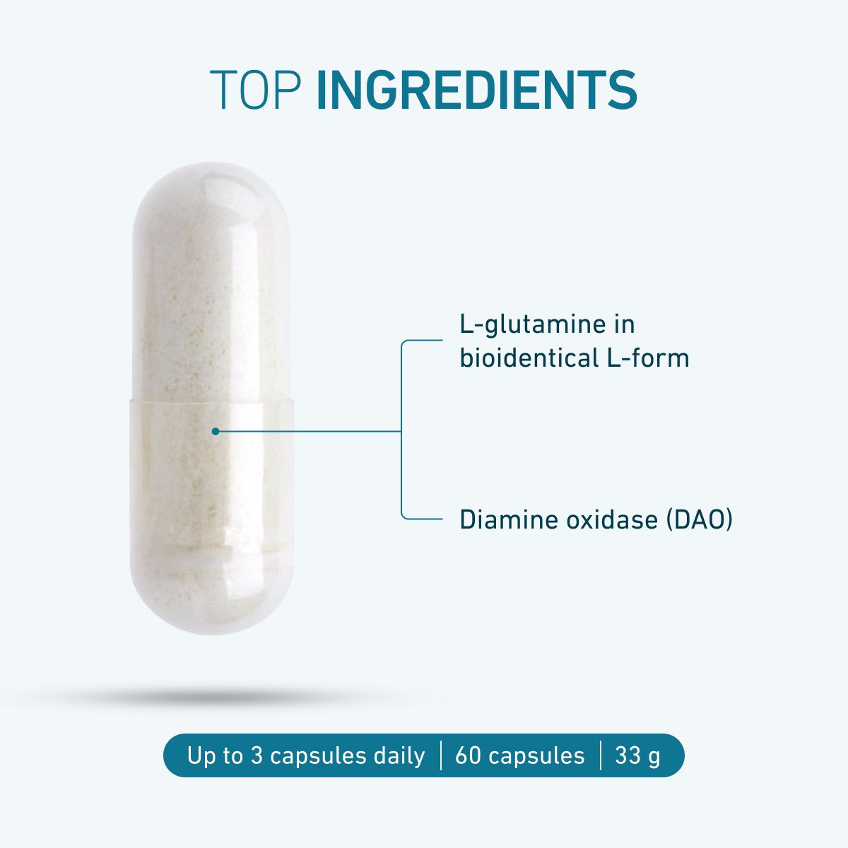 DAOZym® capsule with ingredient labels, text: „Top ingredients: L-Glutamine in bioidentical L-form, Diamine oxidase (DAO). Up to 3 capsules daily, 60 capsules, 33 g.