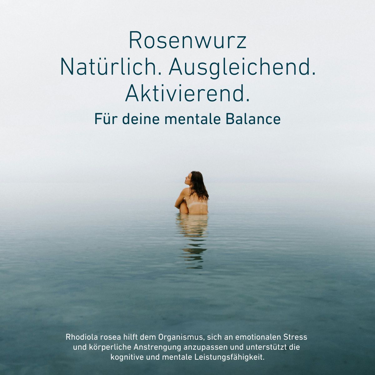 Rhodiola rosea je prírodný rastlinný extrakt podporujúci duševnú rovnováhu. Pomáha organizmu prispôsobiť sa emocionálnemu stresu a fyzickej námahe a zároveň podporuje kognitívnu a mentálnu výkonnosť.