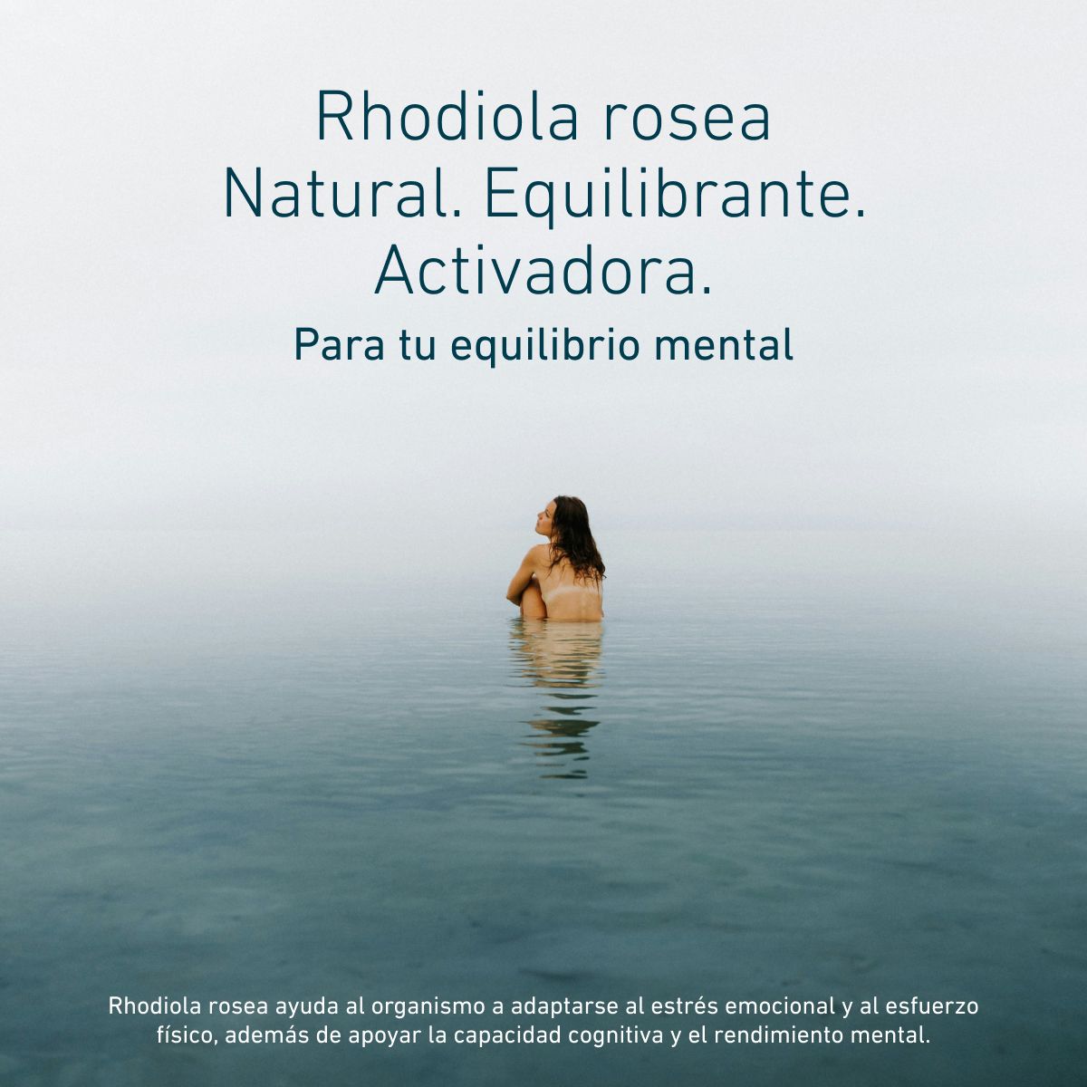 Rhodiola Rosea