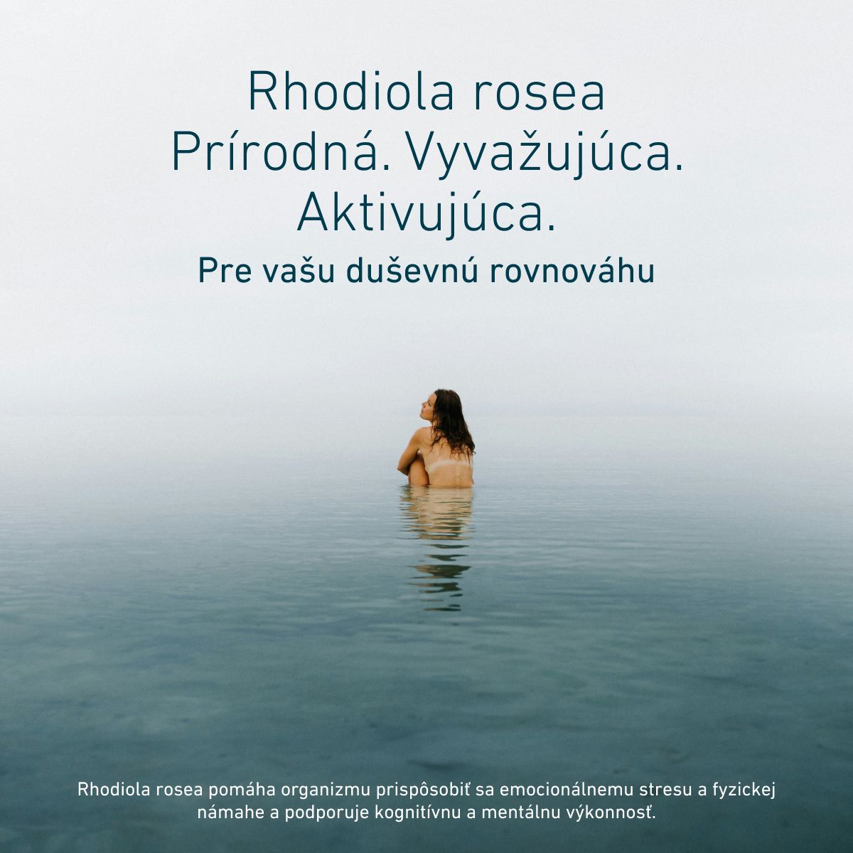 Rhodiola rosea je prírodný rastlinný extrakt podporujúci duševnú rovnováhu. Pomáha organizmu prispôsobiť sa emocionálnemu stresu a fyzickej námahe a zároveň podporuje kognitívnu a mentálnu výkonnosť.