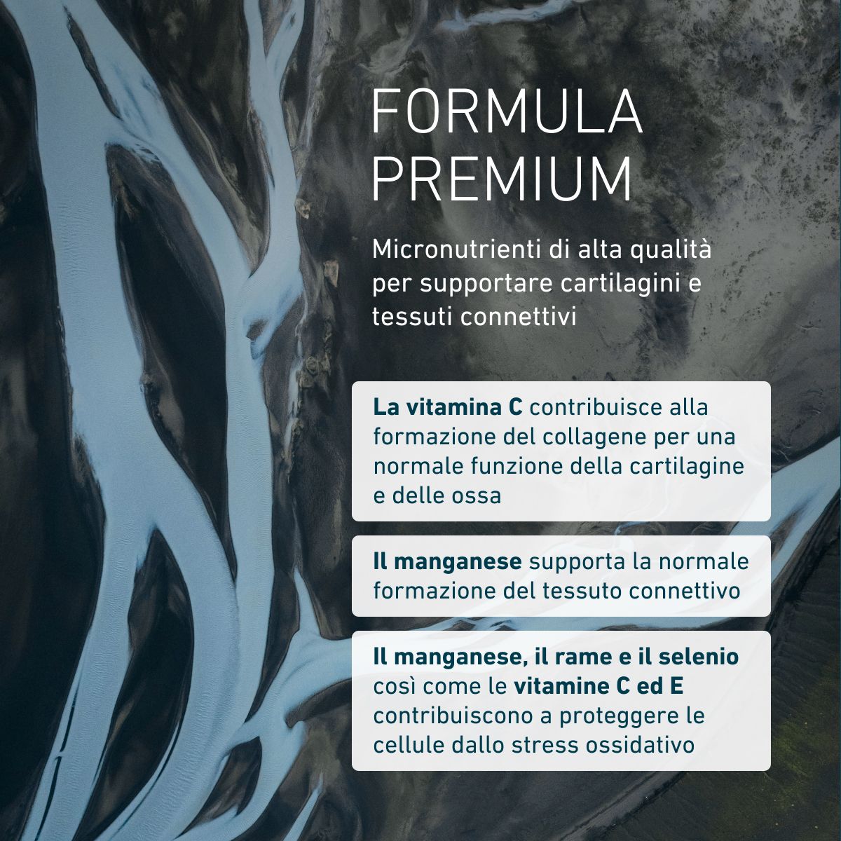Artro Formula 4 Gold