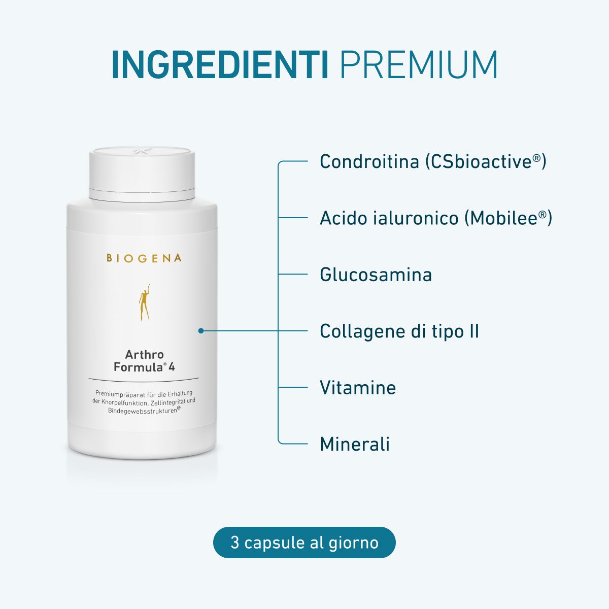 Artro Formula 4 Gold