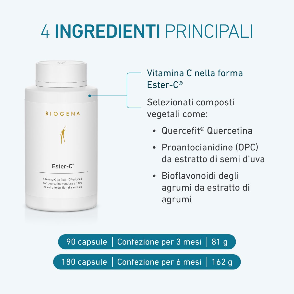 Bottiglia di Ester-C® vitamina C con ingredienti come Quercefit® Quercetina, OPC da estratto di semi d'uva e bioflavonoidi agrumati, confezioni da 3 e 6 mesi.
