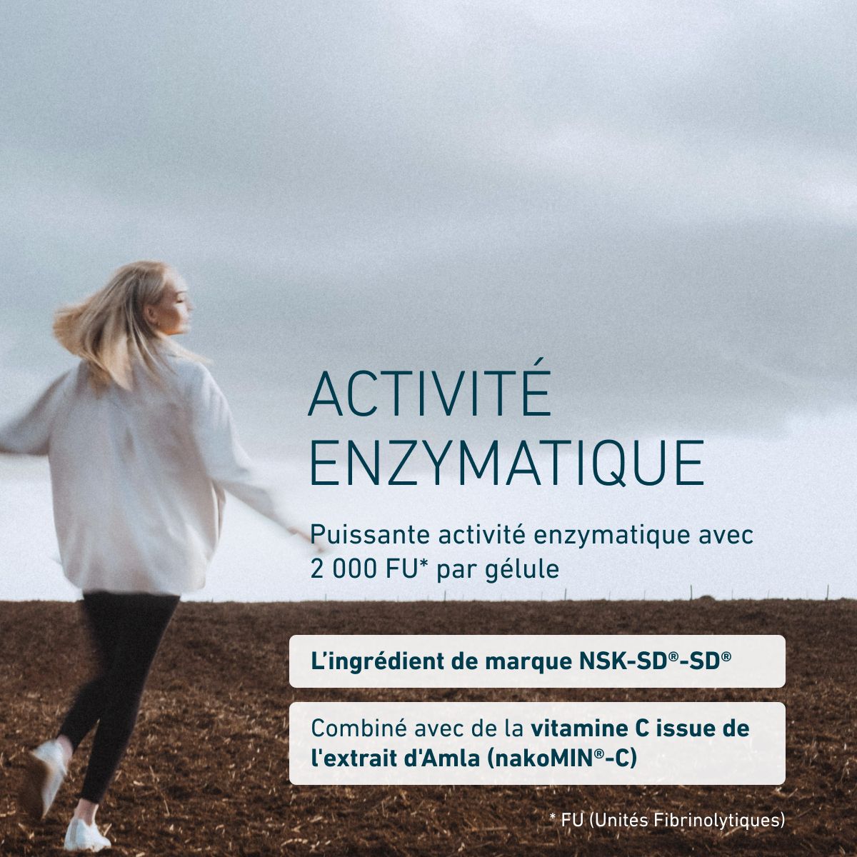 Nattokinase Supérieur