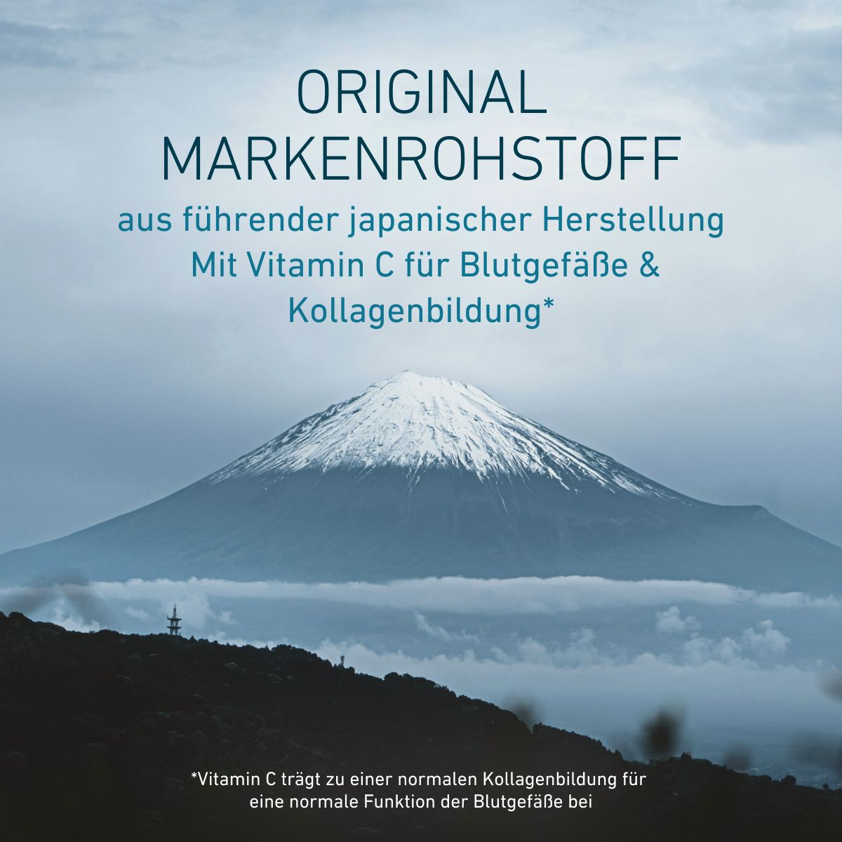 Nattokinase Superior obsahuje originálnu značkovú surovinu NSK-SD® od popredného japonského výrobcu. Doplnené o vitamín C z amly (nakoMIN®-C), ktorý prispieva k normálnej tvorbe kolagénu pre správnu funkciu ciev.