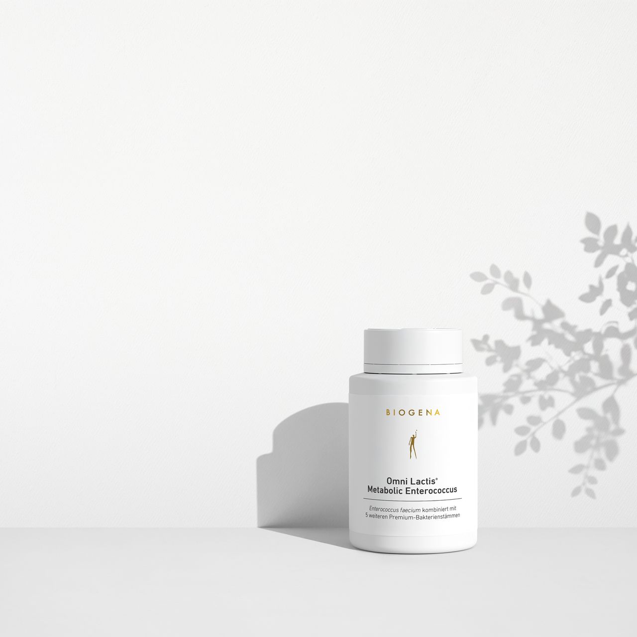 BIOGENA Omni Lactis Metabolic Enterococcus on a minimalist white shelf with soft shadows cast by a plant in the background.
