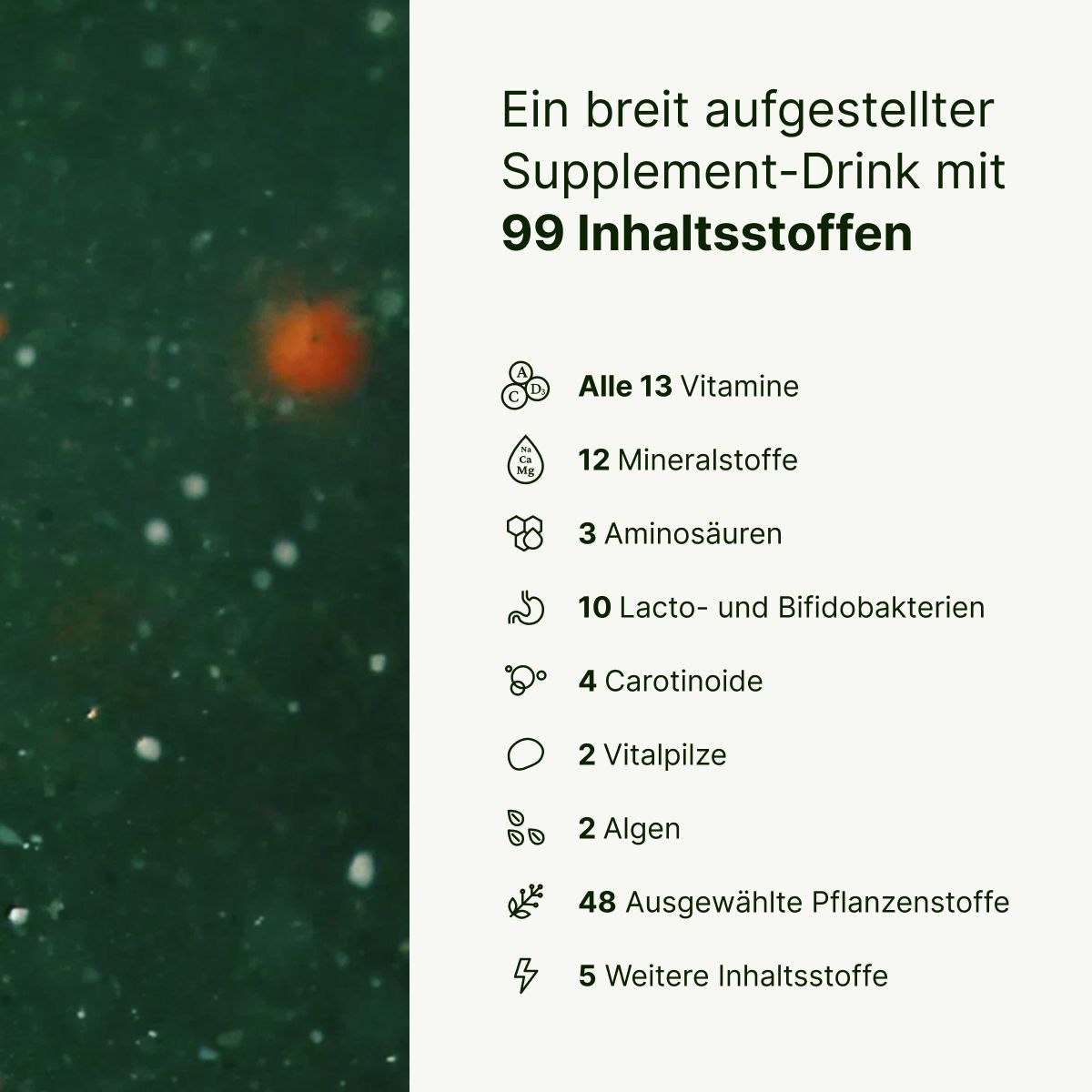 BIOGENA ONE Supplement-Drink mit 99 Inhaltsstoffen. Darstellung der Zusammensetzung: 13 Vitamine, 12 Mineralstoffe, 3 Aminosäuren, 10 Lacto- und Bifidobakterien, 4 Carotinoide, 2 Vitalpilze, 2 Algen, 48 Pflanzenstoffe un