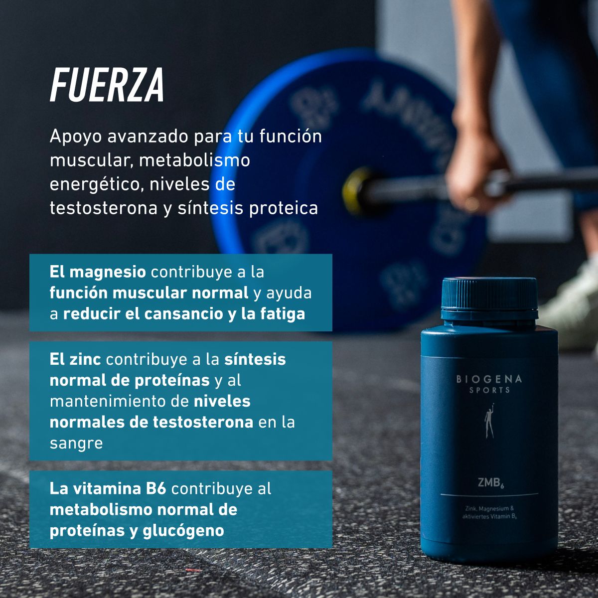 BIOGENA SPORTS - ZMB6 