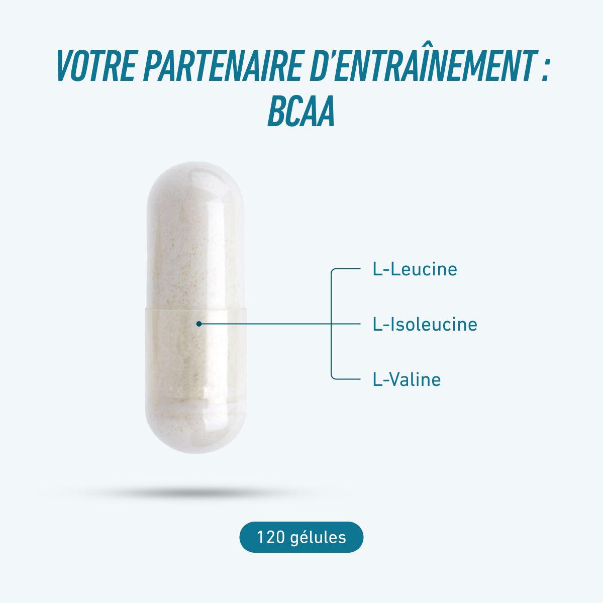 BCAA 500 