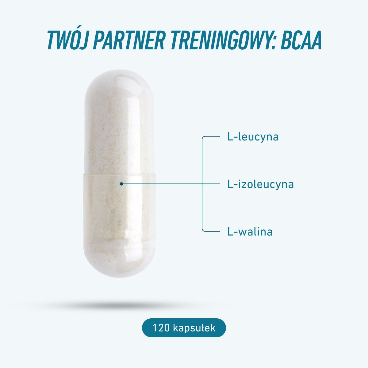BCAA 500 