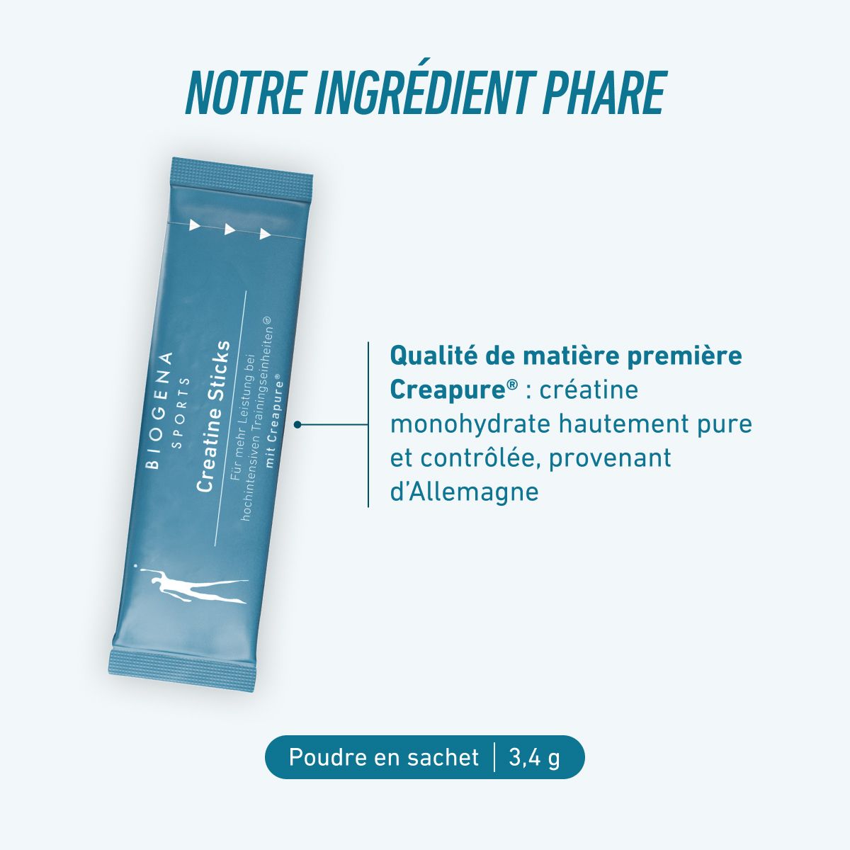 Poudre de créatine monohydrate en sachets – 3 g Creapure®