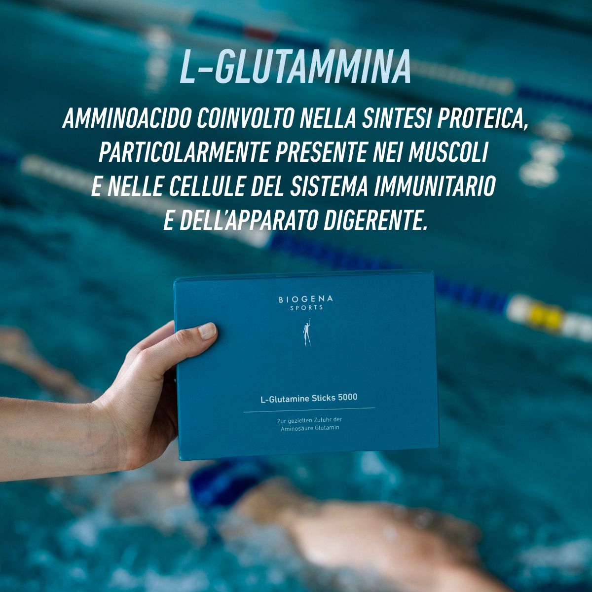 L-Glutamine Sticks 5000 