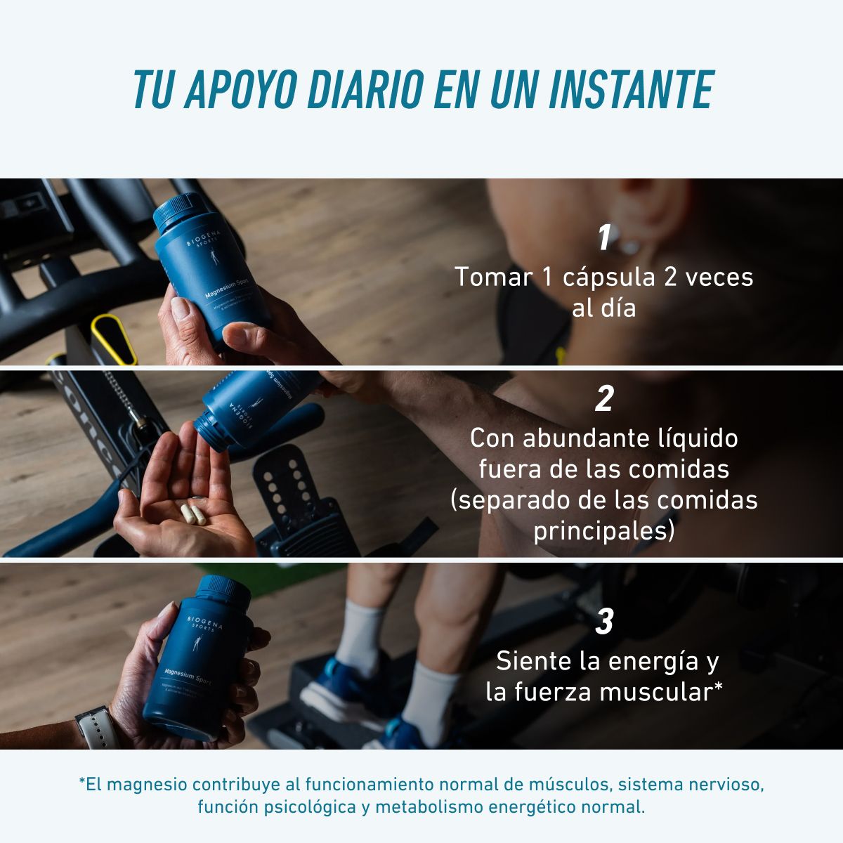 Magnesio B6 Deporte