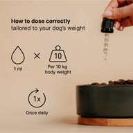 Hand holding dropper above bowl of dry dog food, dosing icons, English text