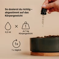 Hand hält Pipette über Hundenapf mit Trockenfutter, Anleitungstext, Symbole