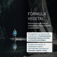 Ashwagandha Formula