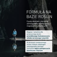 Ashwagandha Formuła