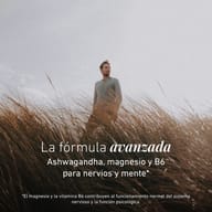 Ashwagandha Formula