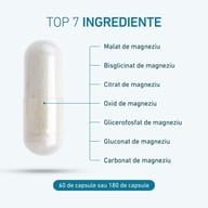 Capsulă BIOGENA Siebensalz® Magnesium cu prezentarea celor 7 forme de magneziu: malat, bisglicinat, citrat, oxid, glicerofosfat, gluconat și carbonat de magneziu. Disponibil în flacoane cu 60 sau 180 de capsule.