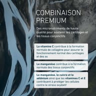 Formule Arthro 4 Or