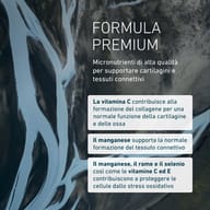 Artro Formula 4 Gold