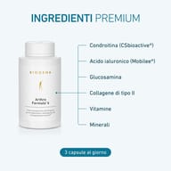 Artro Formula 4 Gold