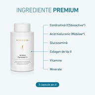 Artro Formula 4 Gold