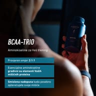 BCAA 500 