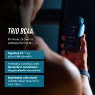 BCAA 500 