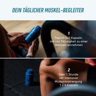 Grafika vysvetľuje odporúčané užívanie BIOGENA SPORTS BCAA 500: 2×2 kapsuly denne s dostatočným množstvom vody počas jedla alebo 4 kapsuly hodinu pred intenzívnou svalovou záťažou.
