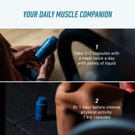 Usage instructions for BIOGENA SPORTS BCAA 500 capsules. Take 2 × 2 capsules daily with meals and plenty of liquid, or 4 capsules one hour before intense physical activity.