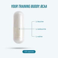 Illustration of a BIOGENA SPORTS BCAA capsule showing the branched-chain amino acids L-leucine, L-isoleucine, and L-valine in a scientifically balanced 2:1:1 ratio. 120 capsules per bottle.